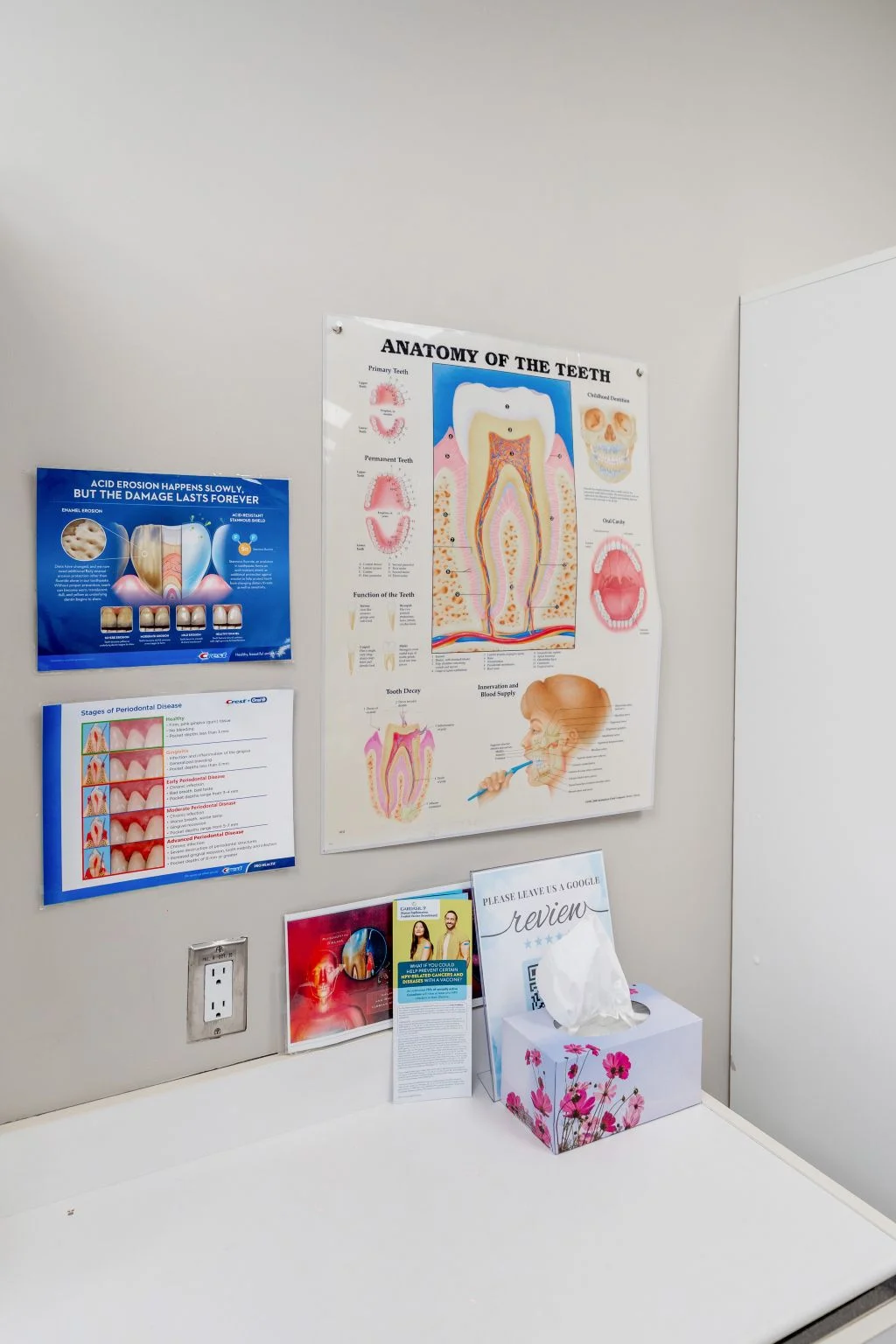 dental education posters sw edmonton clinic